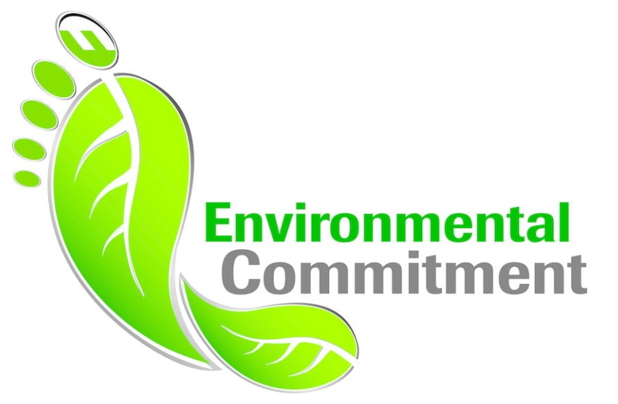 Miraqueen Environmental Initiatives